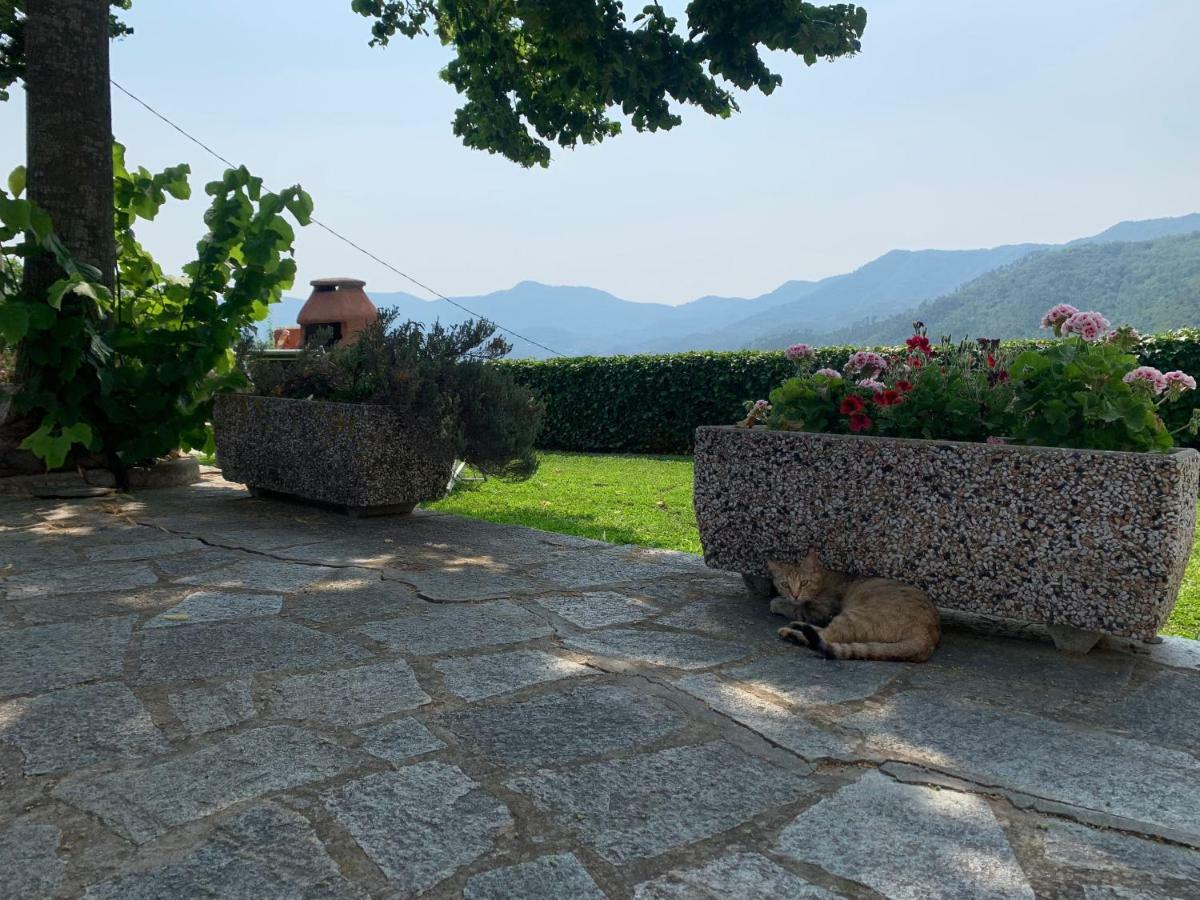 Agriturismo Gli Ulivi Гарленда Екстериор снимка